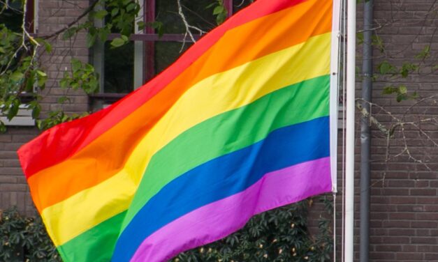 Regenbogenflaggen haben an staatlichen Gebäuden nichts zu suchen!