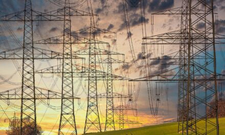 Ampel-Regierung hat Strompreisanstieg um 2000 Prozent zu verantworten